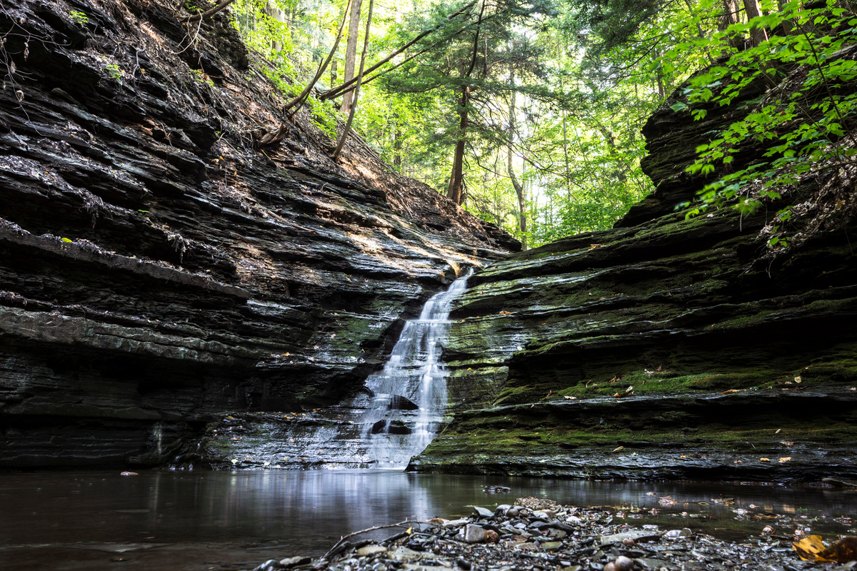 Small Water Falls on Forest