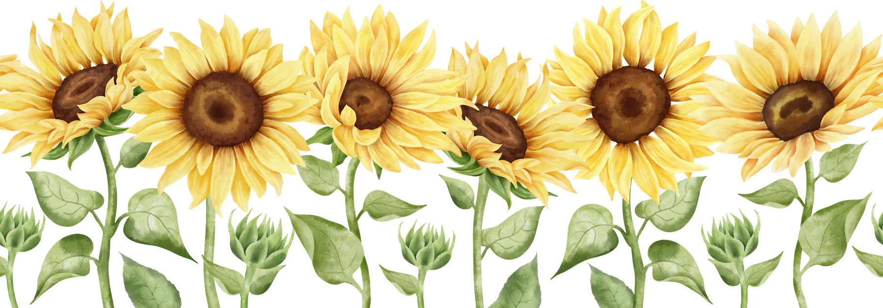 Watercolor sunflower seamless border